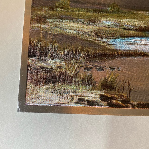 Two vintage Dufex prints of mallard ducks, by F. Osborne, framed - Picture 4 of 7